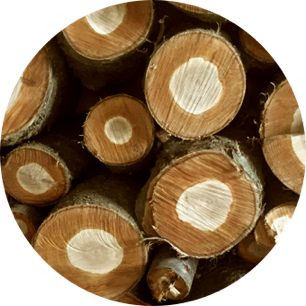 Wood Repurposing