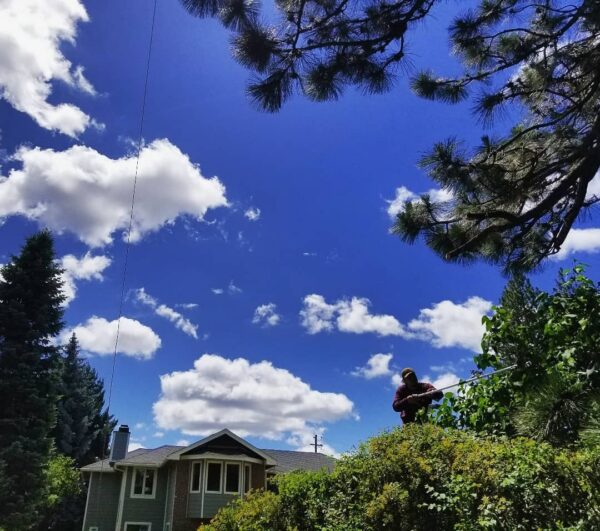 After a couple days of thick clouds we enjoyed the warming rays of a blue sky.