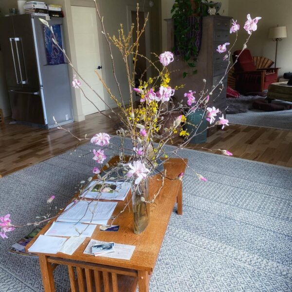 When pruning flowering shrubs and trees which are just starting to bud, put them in a vase and let them blossom in your home. It’s that time of year! #fruitpruning