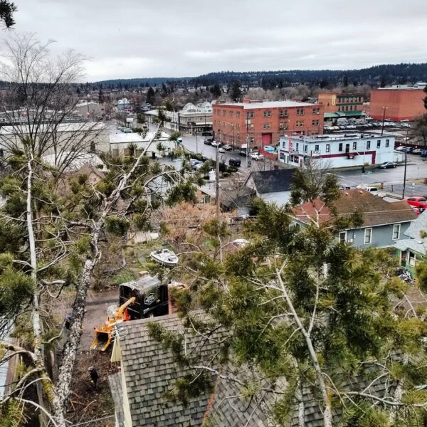 Instagram post 17889562702446981