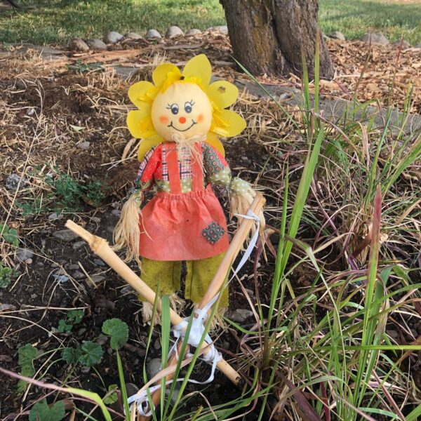 This good voodoo scarecrow was mysteriously placed at our shop and has been living here for the last month.
