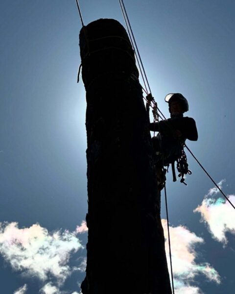 “Embrace the wildness of nature, for it mirrors the wildness within your heart.” - David Deida 
•
•
•
•
•
#Arborist #arboristspokane #TreeCare #spiritpruners #TreeService #TreeWork #UrbanForestry #TreeClimbing #Arboriculture #TreeHealth #TreeMaintenance