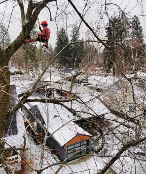 A nice day for a climb.