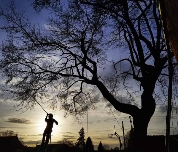 Tuning in the fine details.

#arborist #climbing #spokane #silhouette #sunset