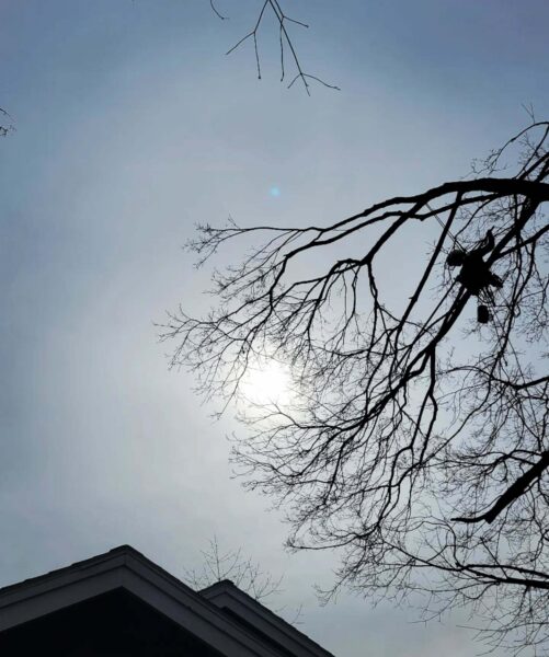 Waiting patiently as the sun warms our skin from the outside as it reaches within. Energy harvested and used wisely.  #arborist #climbing  #arboristofinstagram #arboriculture